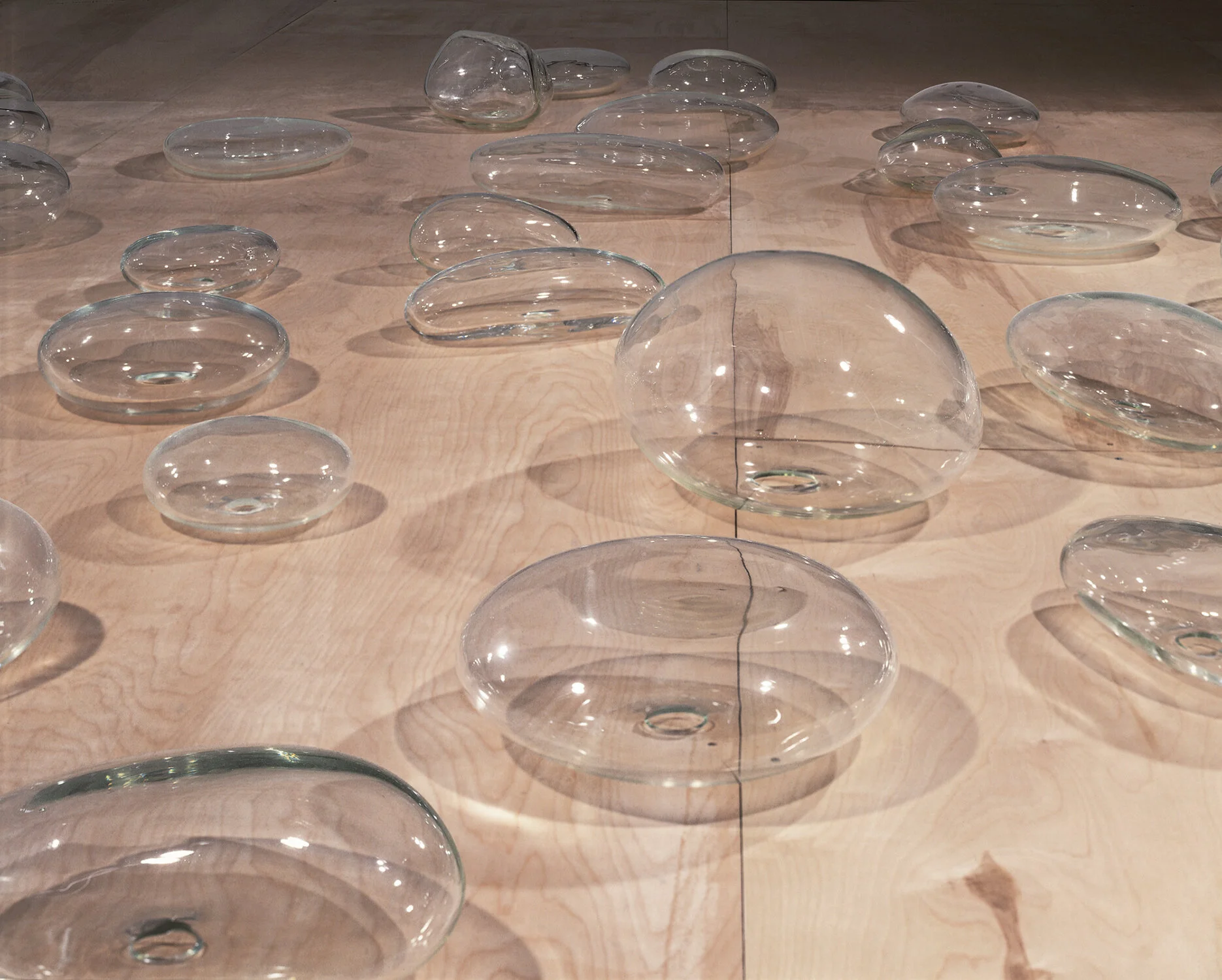      TOPOLOGIES | SECCA — MAYA LIN STUDIO